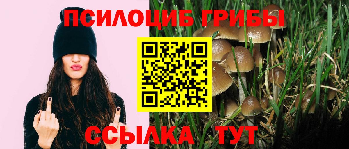 Галлюциногенные грибы прущие грибы  Вход с VPN  Будённовск 