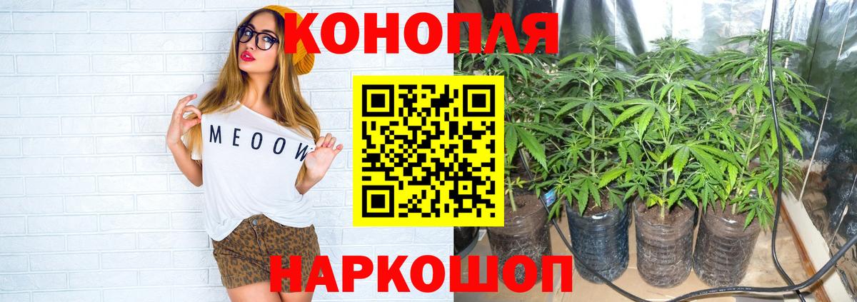 Канабис сатива  Канабис индика  Марихуана Bruce Banner  Будённовск  Вход с VPN 