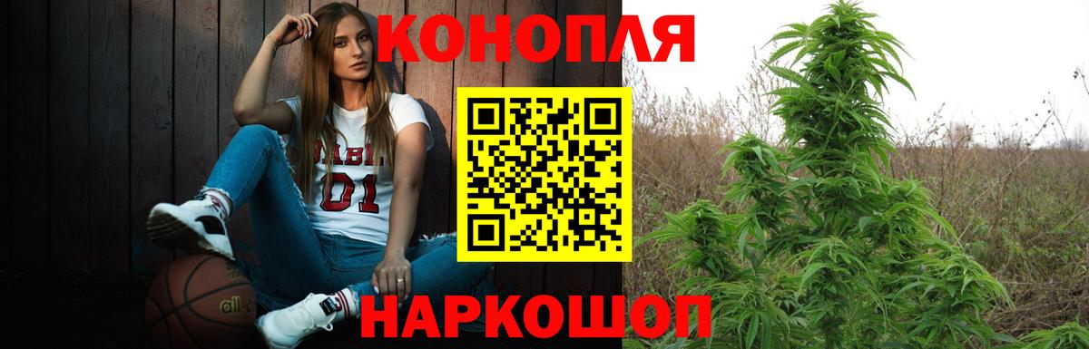 Конопля сатива Будённовск